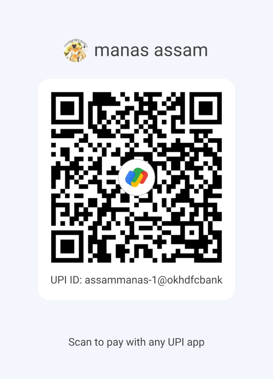 UPI QR Code